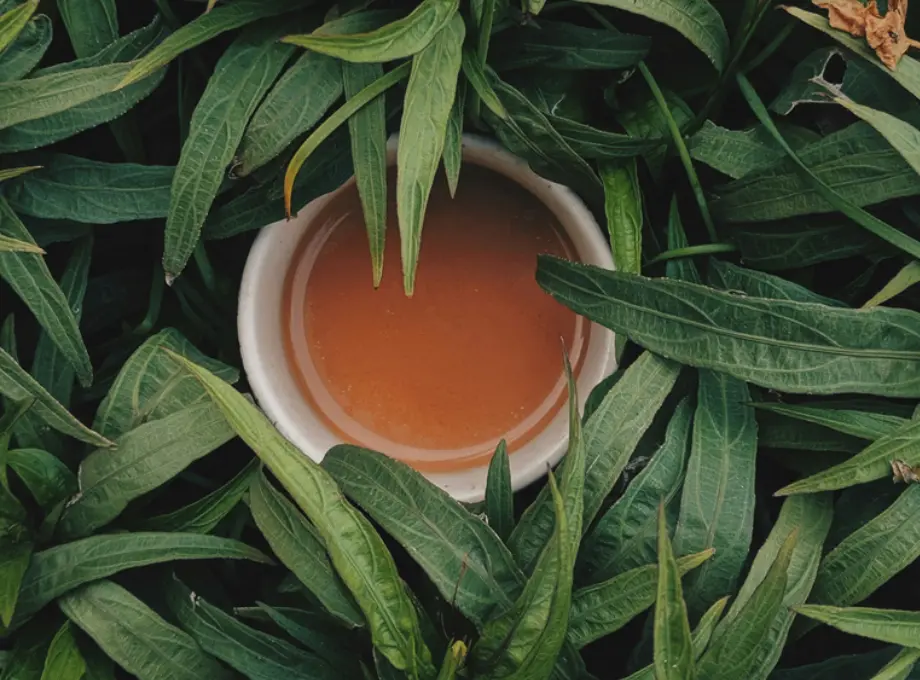 Handle Raw Leaves Properly