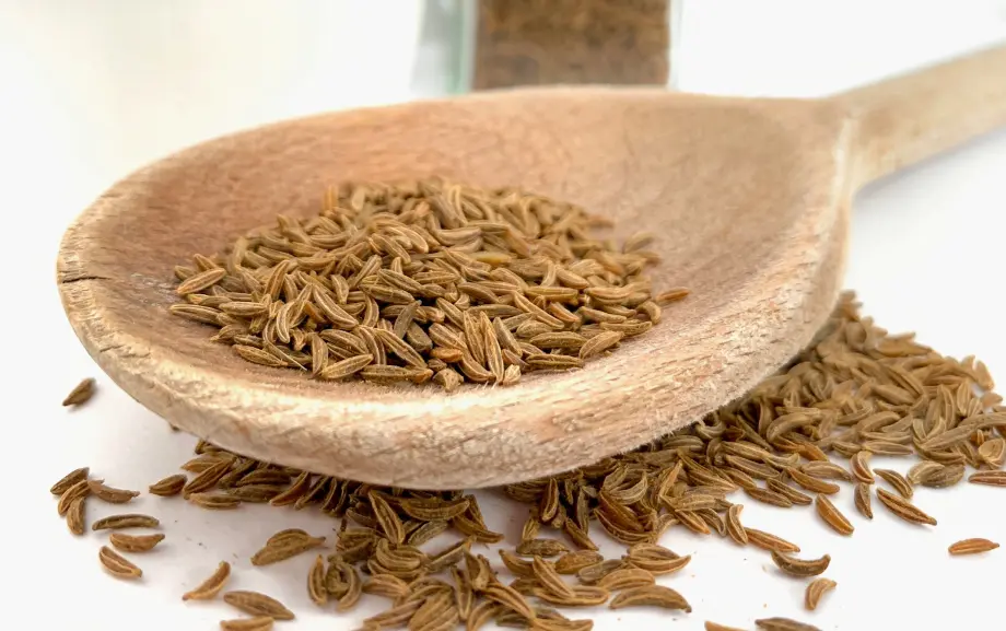 Fennel Seeds